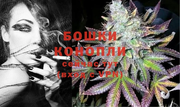 гашик Вязники