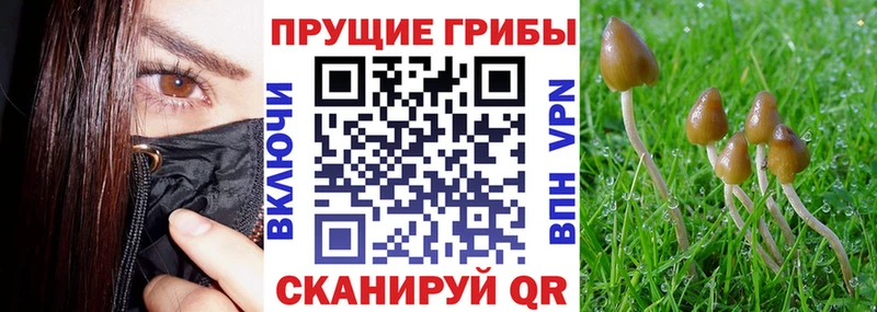 Псилоцибиновые грибы мухоморы Нязепетровск